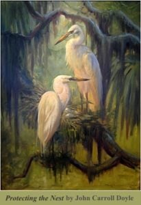Painting 'Protecting the Nest' by John Carroll Doyle. Egrets protecting their nest.